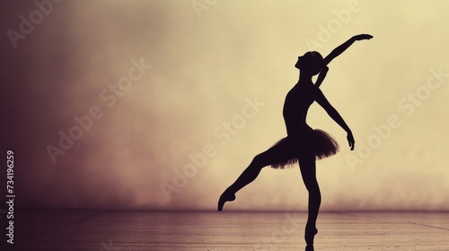  a silhouette of a ballerina in a tutu with her arms in the air, in front of a foggy, foggy, sepia - filled background.