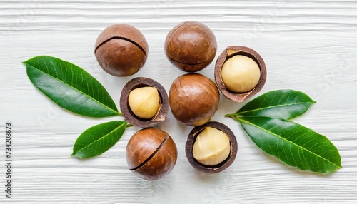 isolated aromatic macadamia nuts with green twig on white background top view