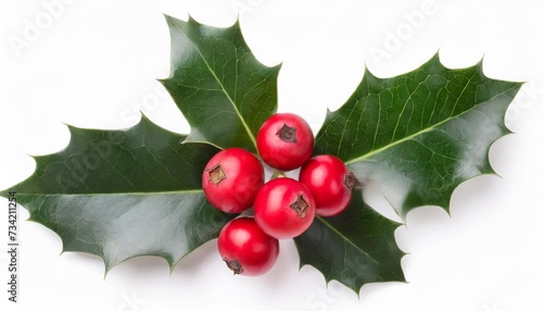 holly berry leaves and berries christmas decoration isolated on white background top view