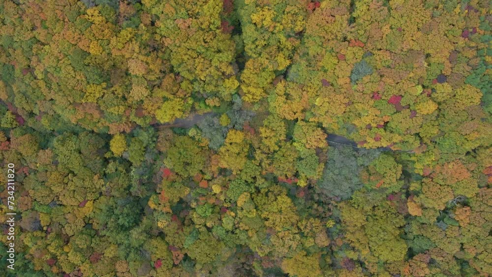 Cinematic aerial shot of autumn leaves along Bandai-Azuma Skyline road in Fukushima prefecture, Japan Cinematic aerial shot of autumn leaves along Bandai-Azuma Skyline road in Fukushima prefecture, Japan