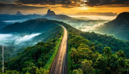 Street winding through the rainforest photo