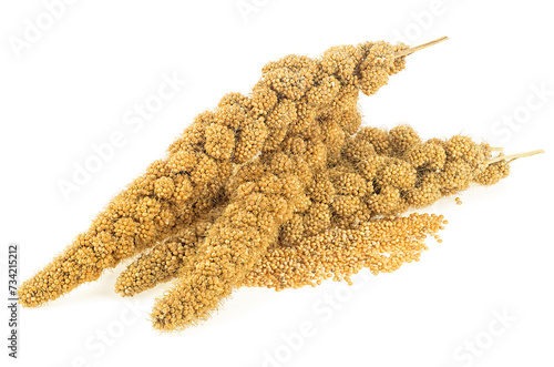 Yellow twigs millet and grains of millet isolated on a white background. Grain of Senegal millet.