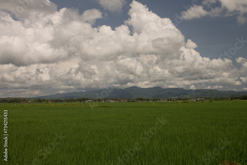 field and cloudy sky