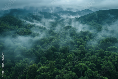 Aerial view of foggy forest nature wallpaper background