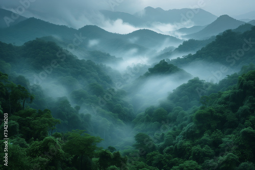 Fog-covered mountain range in the rainforest nature wallpaper background