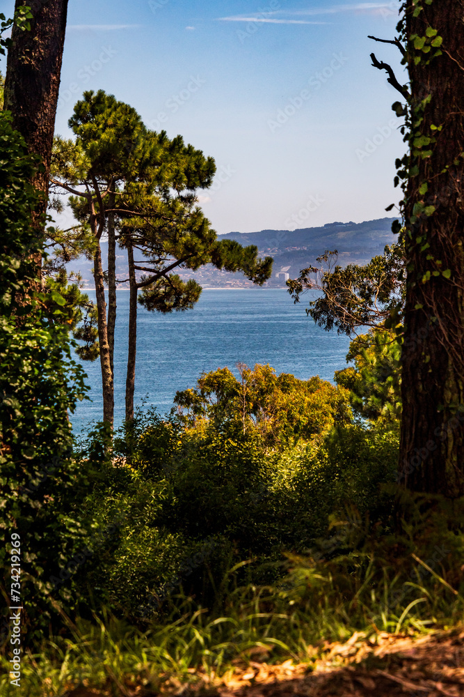 Fototapeta premium Paisaje en Islas Cíes, Galicia.