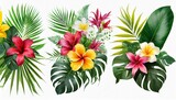 set tropical vector flowers card with floral illustration bouquet of flowers with exotic leaf isolated on white background composition for invitation to party or holiday