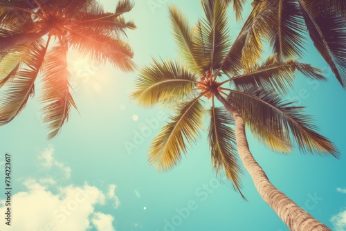 Blue sky and palm trees view from below  vintage style  tropical beach and summer background  travel concept