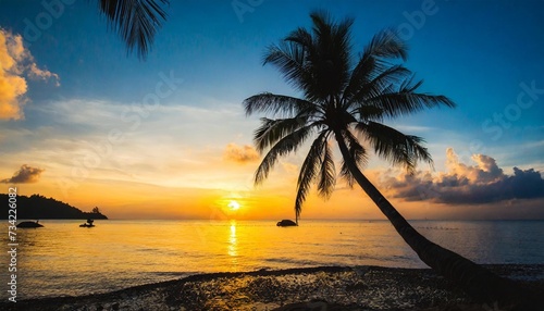 silhouette coconut tree with sunset