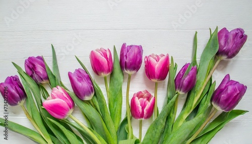 pink purple violet flowers tulips on a white background with space for text top view flat lay