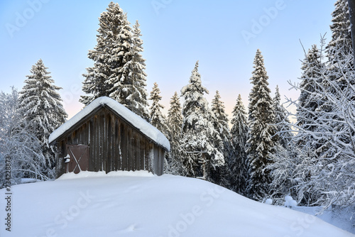 A wooden house on a snowy hill among coniferous trees. Winter frosty day.