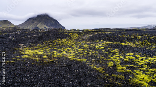 Lava field