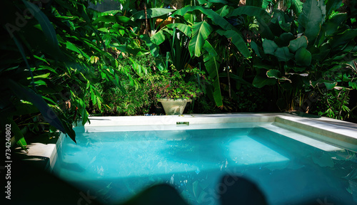 Fotografie Tropical Oasis: A pristine swimming pool surrounded by lush greenery offers a private retreat
