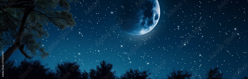 beautiful view of moon over trees at night full of stars