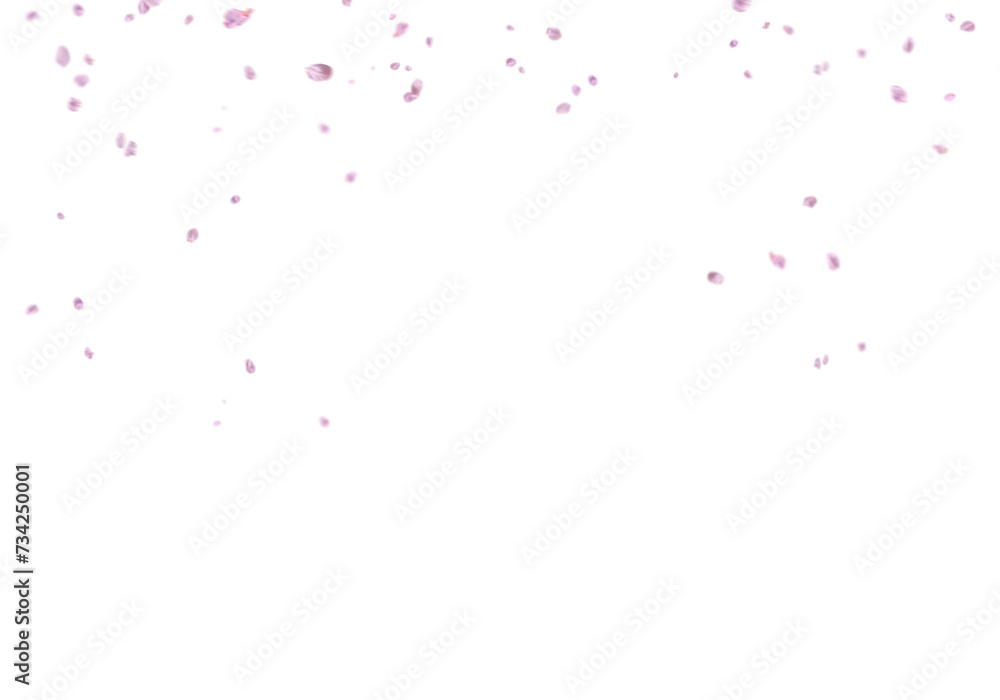 Floating pink rose petal isolated on on a transparent background png. Background concept for love greetings on valentines day and mothers day. Space for text	
