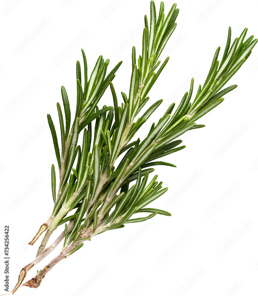 Fototapeta premium LAYER-LAB_2203190445_LC