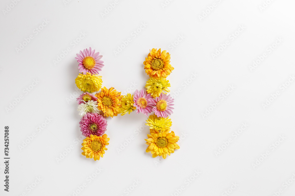 Letter H made of real natural flowers.