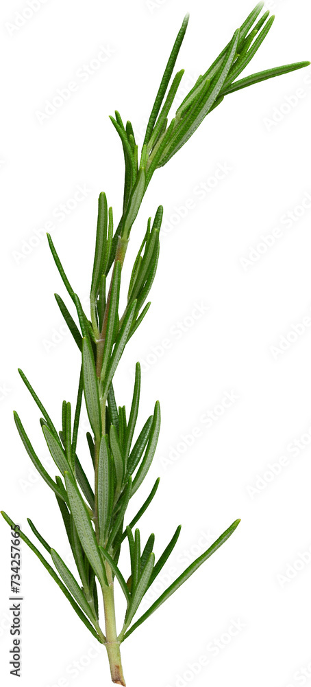 Obraz premium LAYER-LAB_0103177536_LC