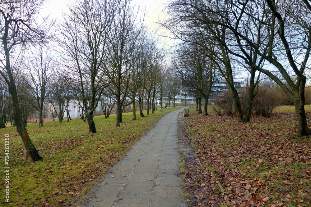 Kielce, Poland - Adolf Dygasiński park in a housing estate February without snow, a beautiful cloudy day - the landscape of a city park, a view of the alley among bare trees and beautiful green grass Kielce, Poland - Adolf Dygasiński park in a housing estate February without snow, a beautiful cloudy day - the landscape of a city park, a view of the alley among bare trees and beautiful green grass