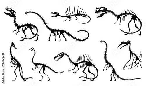 Dinosaur skeleton set. Dino monsters icons. Shape of real animals. Sketch of prehistoric reptiles. Vector illustration isolated on white. Hand drawn sketches photo