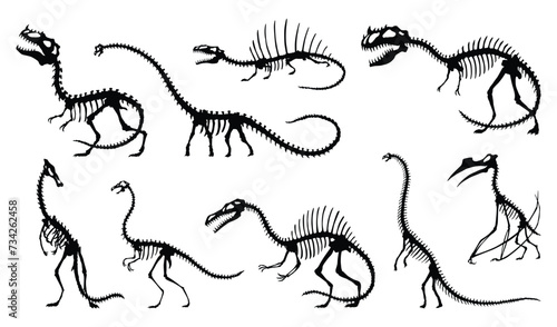 Dinosaur skeleton set. Dino monsters icons. Shape of real animals. Sketch of prehistoric reptiles. Vector illustration isolated on white. Hand drawn sketches