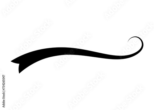 Swoosh typography text tail shape. Calligraphic decoration swish symbol. Retro underline, black stroke or ornament design vector illustration