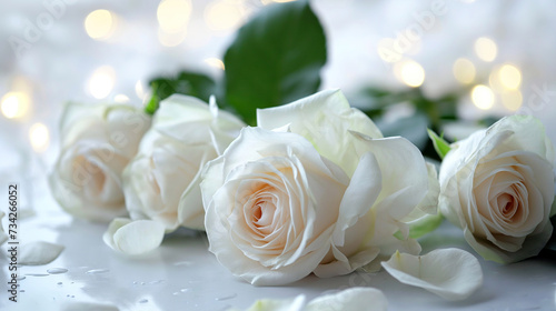 Serene bouquet of white roses against a gentle  luminous backdrop.