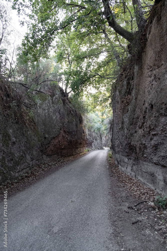 Tuff canyon country road in Viterbo, Italy Tuff canyon country road in Viterbo, Italy