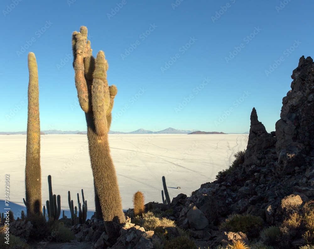A landscape from fish island in Uyuni A landscape from fish island in Uyuni