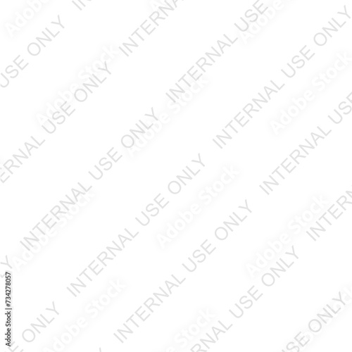 Internal Use Only watermark on a Transparent Background	