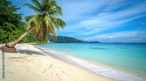  a tropical beach with a palm tree leaning over the edge of the water and a blue sky with wispy clouds.