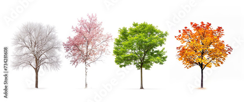The four seasons represented by trees.