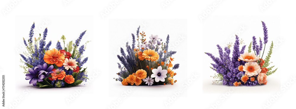 Floral compositions with lavender and garden flowers in Provence style, clipart, white background