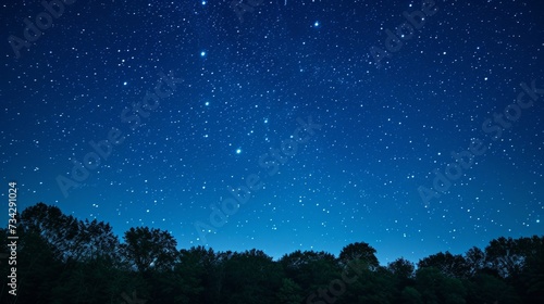 Night dark blue sky with many stars over the field of trees generative ai © Francheska