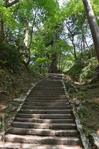 羽黒山の石段 神社で日本一 2446段 ／山形県鶴岡市の羽黒山は標高414mで、山岳信仰の中心地として有名です。参道は瑞心門から国宝の五重塔を通り、上ること2446段と、神社では石段の数で日本一です。出羽三山神社までは車での参拝も出来ますが、パワースポットの御利益は、徒歩の方が上と言わています。
