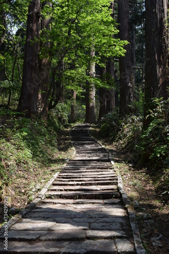 羽黒山の石段 神社で日本一 2446段 ／山形県鶴岡市の羽黒山は標高414mで、山岳信仰の中心地として有名です。参道は瑞心門から国宝の五重塔を通り、上ること2446段と、神社では石段の数で日本一です。出羽三山神社までは車での参拝も出来ますが、パワースポットの御利益は、徒歩の方が上と言わています。