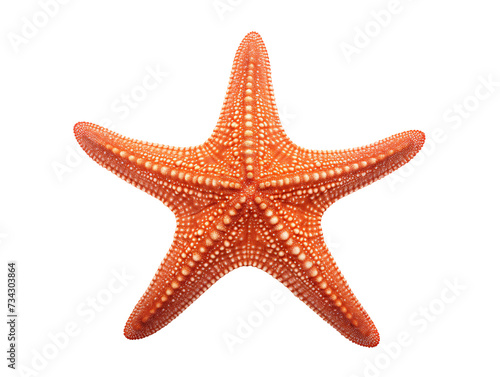 a starfish on a white background © White