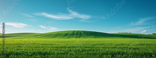 Lush green hill under a clear sky with delicate wisps of clouds, embodying serenity and open space.
