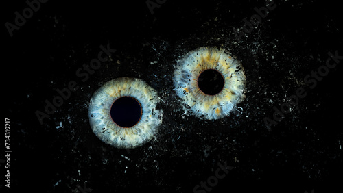 Fototapeta Naklejka Na Ścianę i Meble -  Galaxy explosion effect of human eyes colliding on black background. Close-up of blue and green colored iris with yellow-orange-brown pigments. Structural Anatomy. Iris Detail. Eye Catcher.