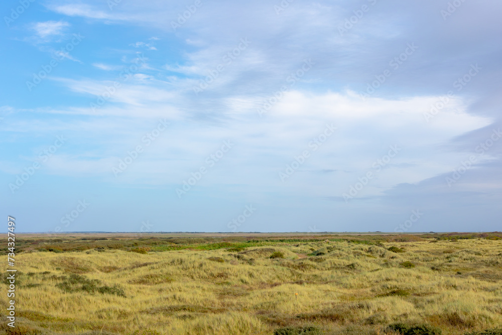 Overview of the dunes covered with marram beach grass, Landscape view of sand dike on the Dutch Wadden Sea island Terschelling with warm sunlight, An island in the northern, Friesland, Netherlands. Overview of the dunes covered with marram beach grass, Landscape view of sand dike on the Dutch Wadden Sea island Terschelling with warm sunlight, An island in the northern, Friesland, Netherlands.