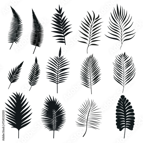 Set of palm leaves silhouettes isolated