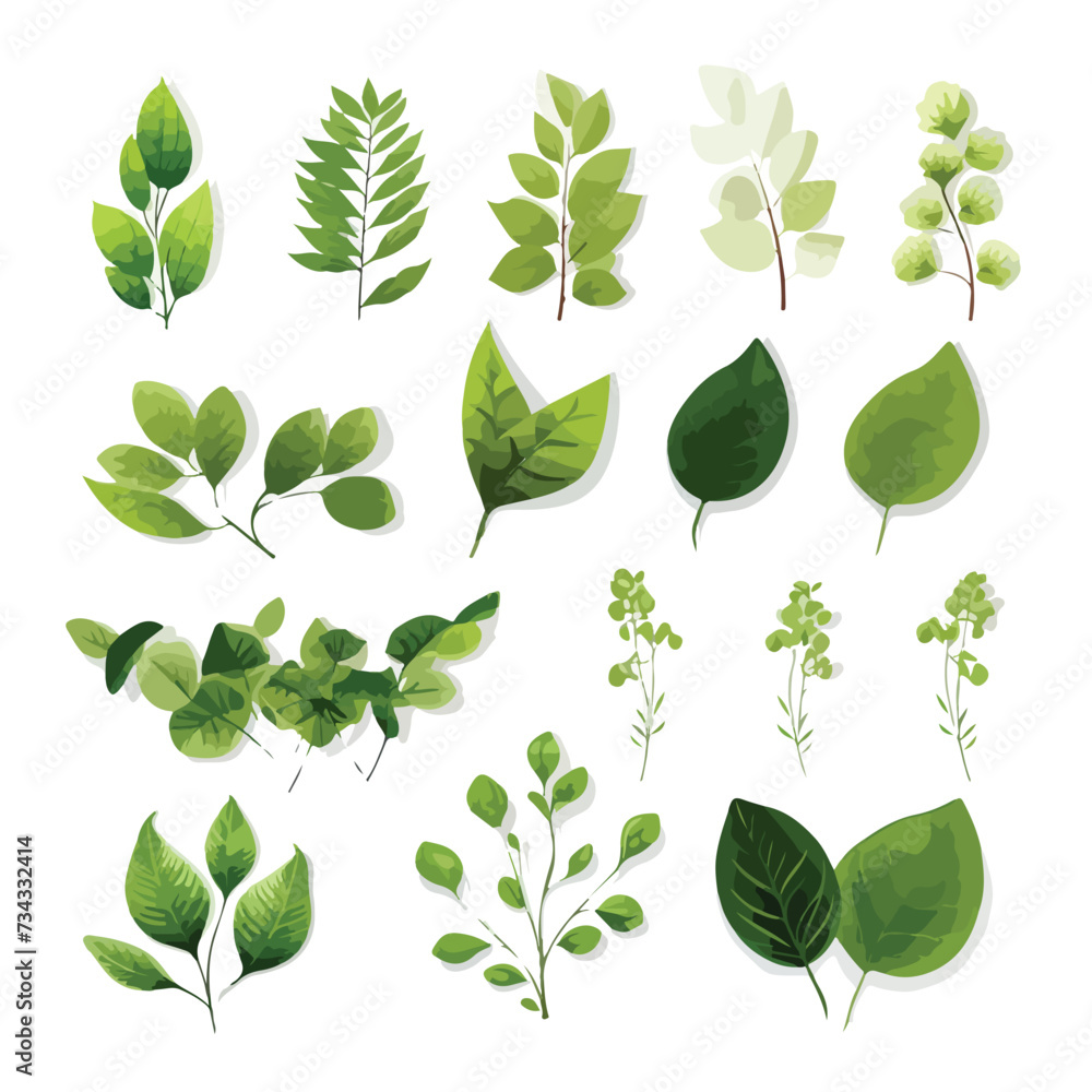 Set of realistic green leaves collection.