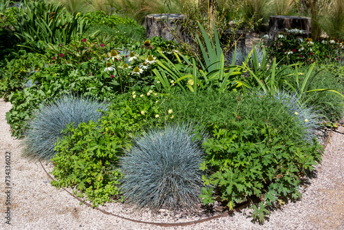 Jardin résilient - bandes de plantes médicinales et potagères entourées de fleurs, buissons et arbustes photo