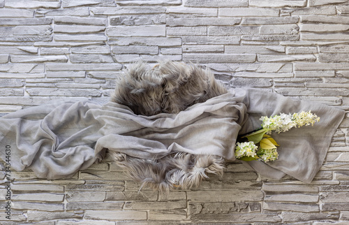 Gray nest, digital photography background for newborn and baby