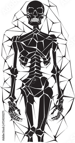 The Skeleton Chronicles Understanding the Full Bodys Structural Framework