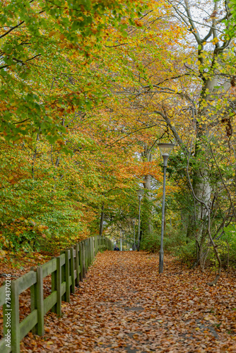 Wallpaper Mural Autumn in the park. Yellowed leaves on the trees. Torontodigital.ca