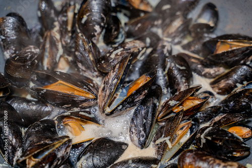 Mussels. Cooking mussels in a creamy sauce.