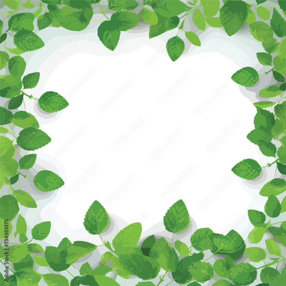 Vector Fresh Mint Leaves on a White Background