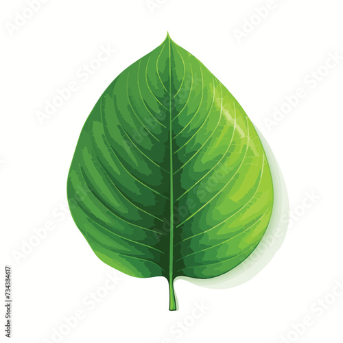 Vector Leaf Isolated  Vector Illustration. Cop.