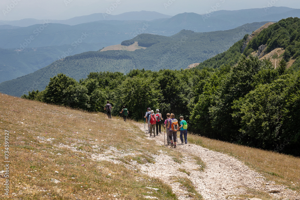 Group of hikers on the mountain path.